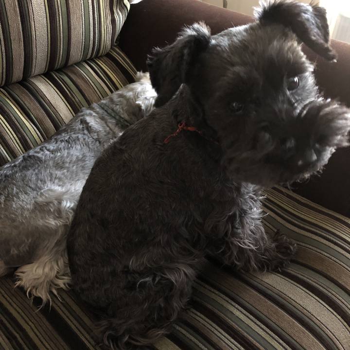 Ba758b4b 81cc 460a 9bd3 c4421877effd 1585869621859