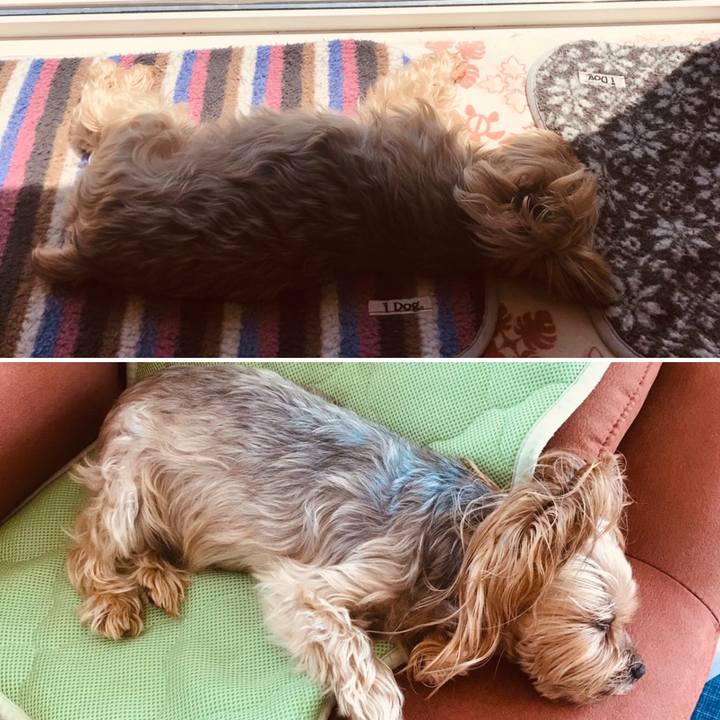 Ba7596ba d9ed 47bd 8bd1 86218bc5ed76 1590487956264