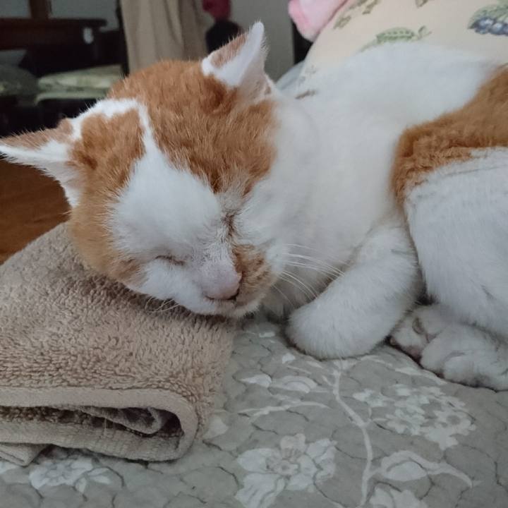 Ba75fdcb fa53 49ec b085 f6d4ce0b157f 1566462786912