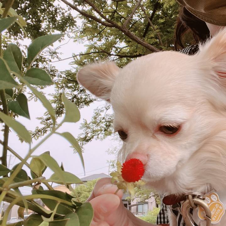 Ba761b21 7835 4ba5 8700 659575f0c790 1653037669728