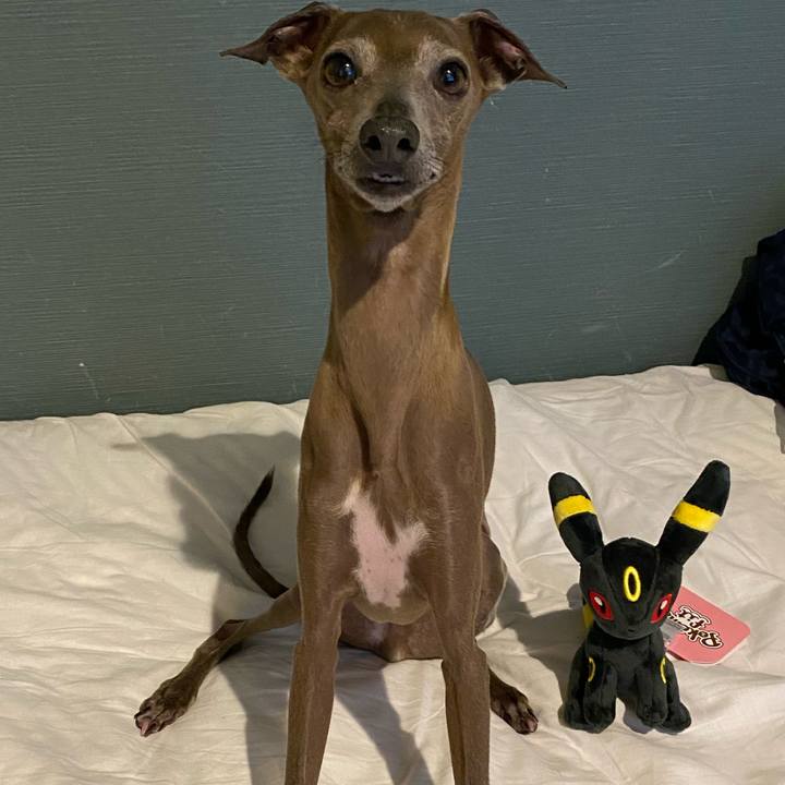 Ba762f2e 7fc0 4ee7 8971 602fb7a1acf1 1759047980567