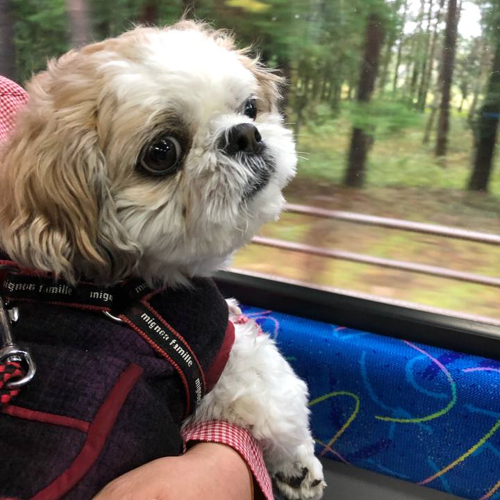 Ba763405 275f 4b30 85d4 70273acf126b 1571380991906