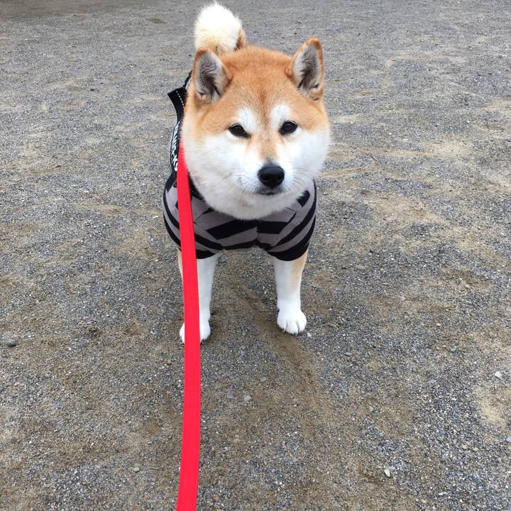 Ba7674a2 a480 4941 8392 bcdc63105656 1575851078211