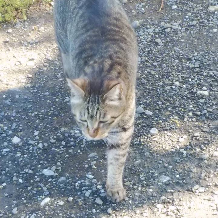 Ba768ac8 a305 4d1c adc4 3639cc80f1a3 1619750557259