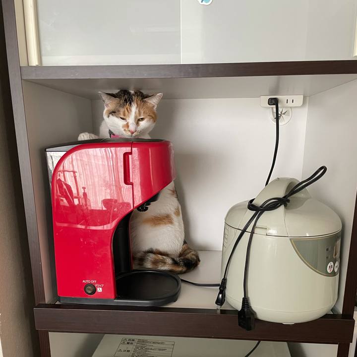 Ba76e261 60d5 4236 978b 6c40ca43cc6d 1616203852092