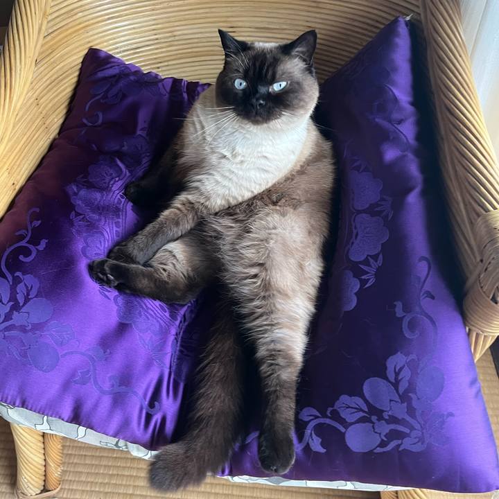 Ba76eb0b 9821 4a25 a509 95c7699978a7 1656229805642