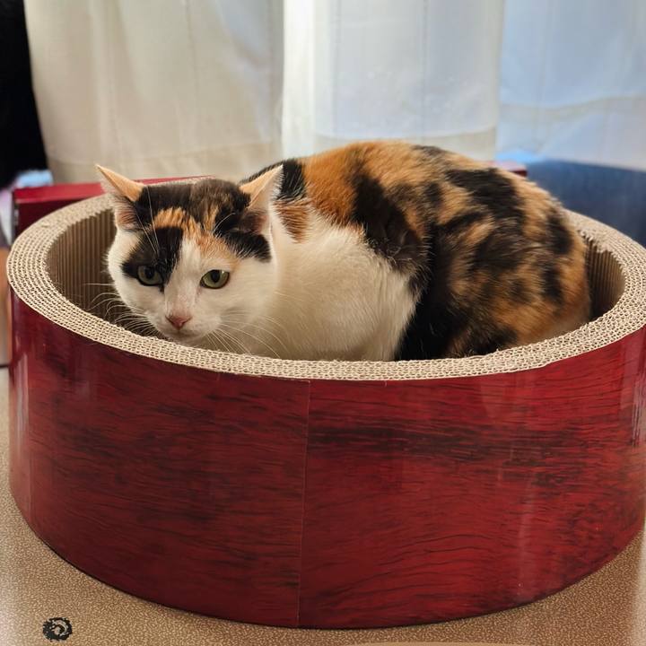 Ba771d79 cf97 46ac 8b27 4853745e9d8c 1675218670678