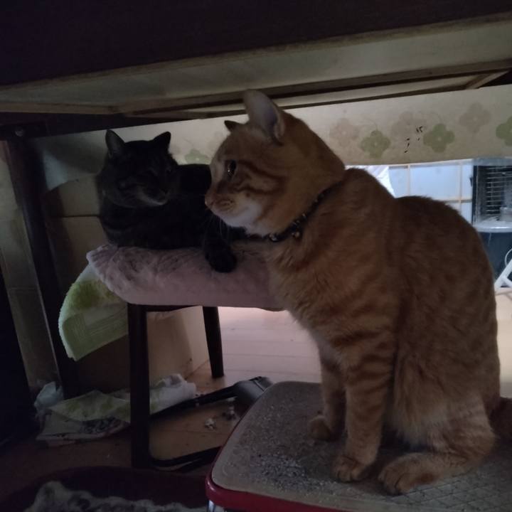 Ba773378 6fcd 4215 9256 9e5b99e67297 1668035559805