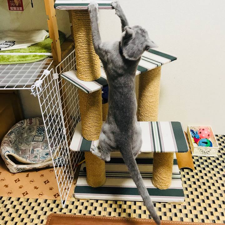 Ba7753af 1cb4 4223 8b3d 41cf8e3d46e0 1515450661584