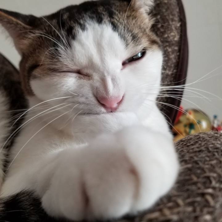 Ba77b320 b01d 4d5a 9172 b37fb4bd238b 1573863608431