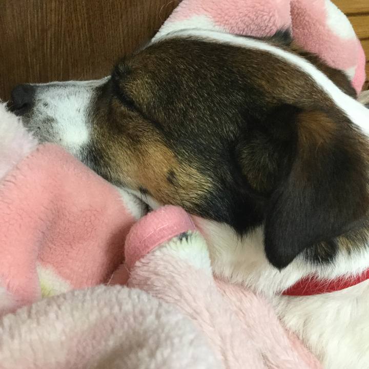 Ba77c1e7 d996 4447 93ef 8a6ee63070d1 1555299307045