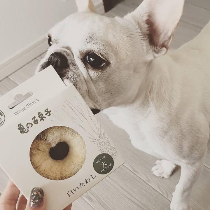 Ba77dda1 2ad5 4d6c 82dd 44ffd750b0fe 1527735497042