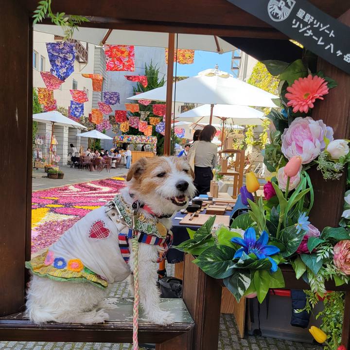 Ba780862 f965 4b6f af3d 0815e407248d 1746253508657