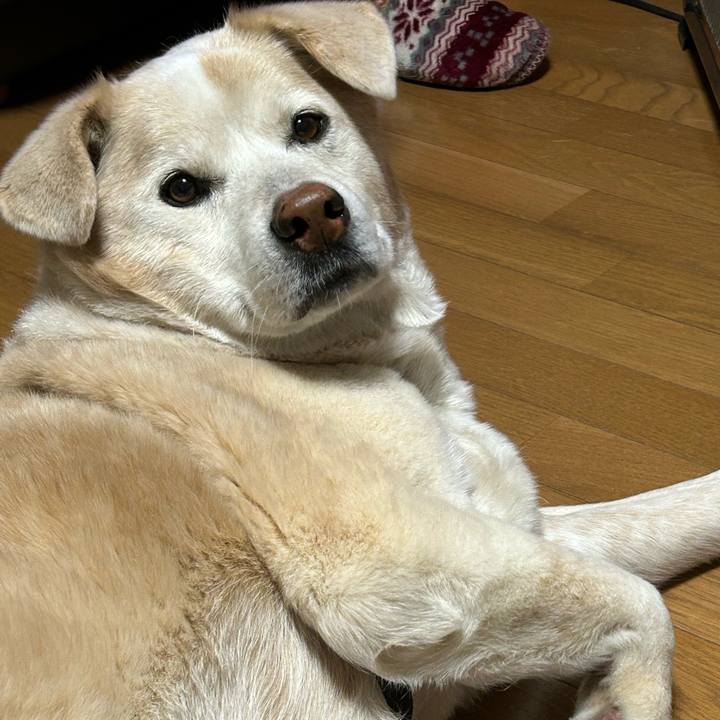 Ba7808ac e129 422f 8f23 b2fab047a9d7 1706525353363