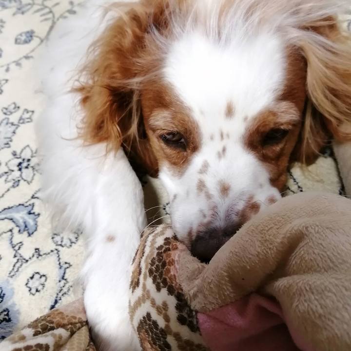 Ba7808d7 3c69 4b3e 92e8 5dc3ca80f69c 1592997898581