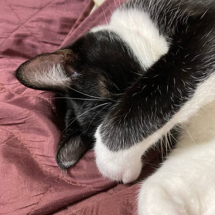 Ba781575 19b4 4440 a098 f5066465217f 1622559462409