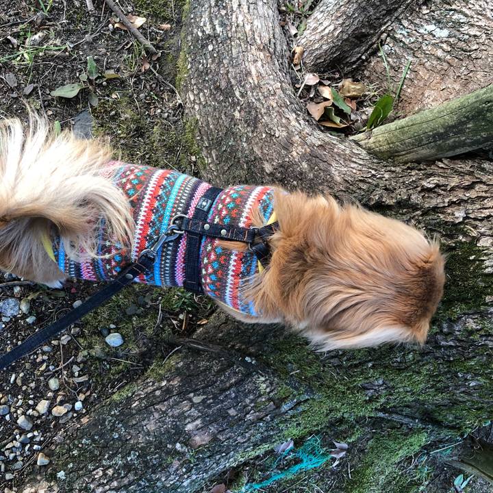 Ba783c45 3563 4280 8fc1 2cb67bee7fb4 1513385286950