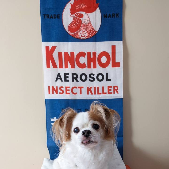 Ba7849e1 f605 4f56 8221 44087ab9e42d 1660268737483