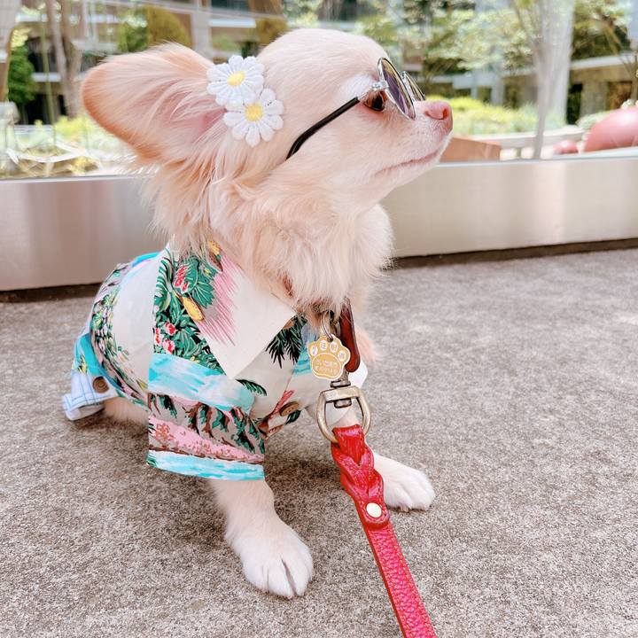 Ba7869eb 7df5 4fc8 895b a9bc06571370 1655121118705