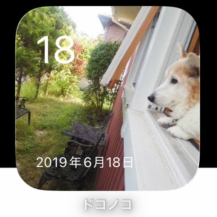 Ba789a22 11be 4b95 8dbe 0b30c49a8ba7 1781794452191