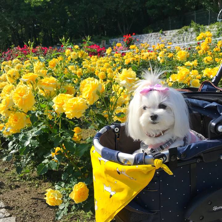 Ba78a1bd cbe0 4ad8 be13 2979a62eb241 1525949780455