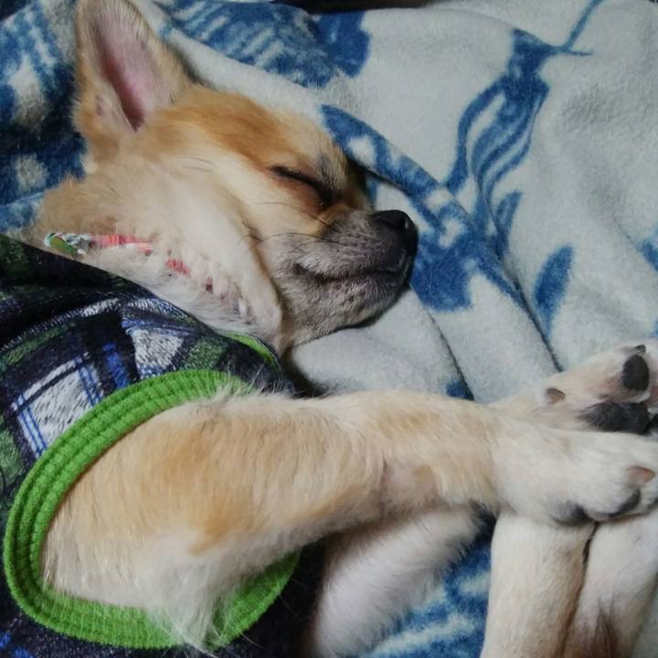 Ba78a799 5da8 46d6 8e3c f532135e98c3 1511091806353