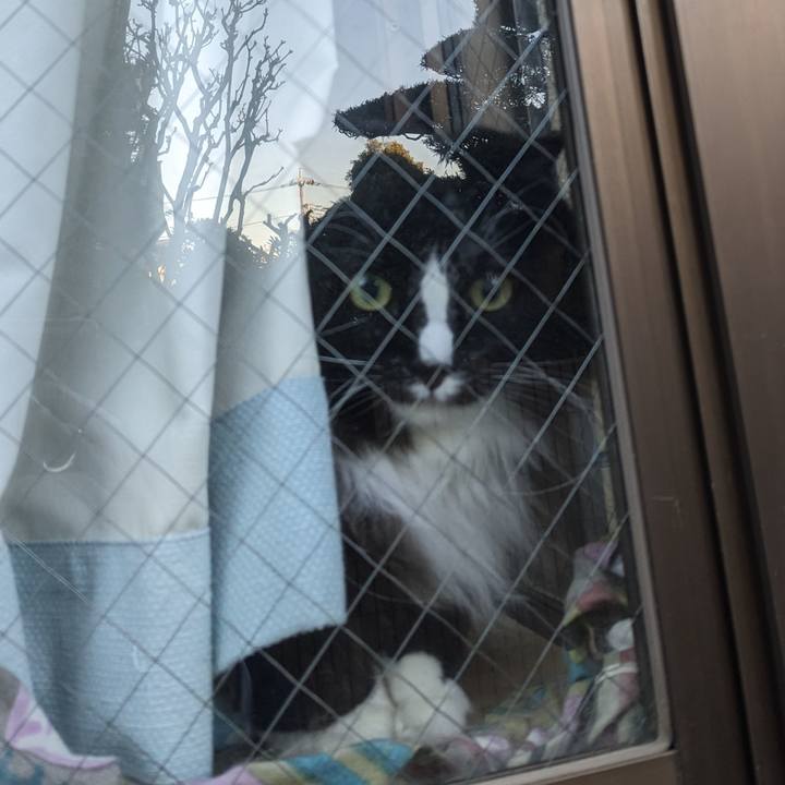 Ba78cd7e 53d1 4ade 849e db5da131be12 1703197744975