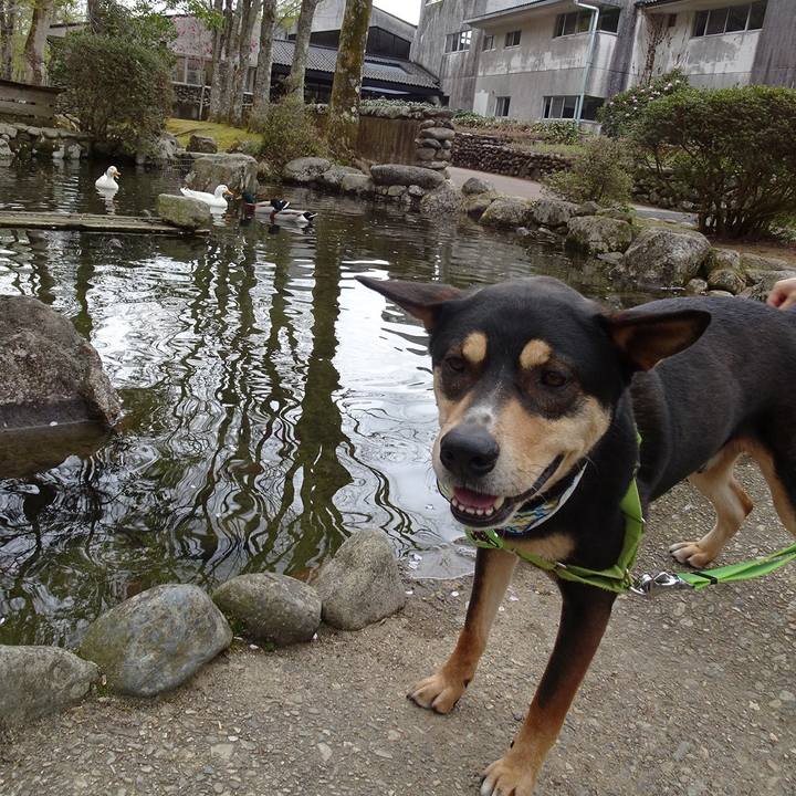 Ba79141e c884 48b1 bbe1 1898603e35fe 1617454231825