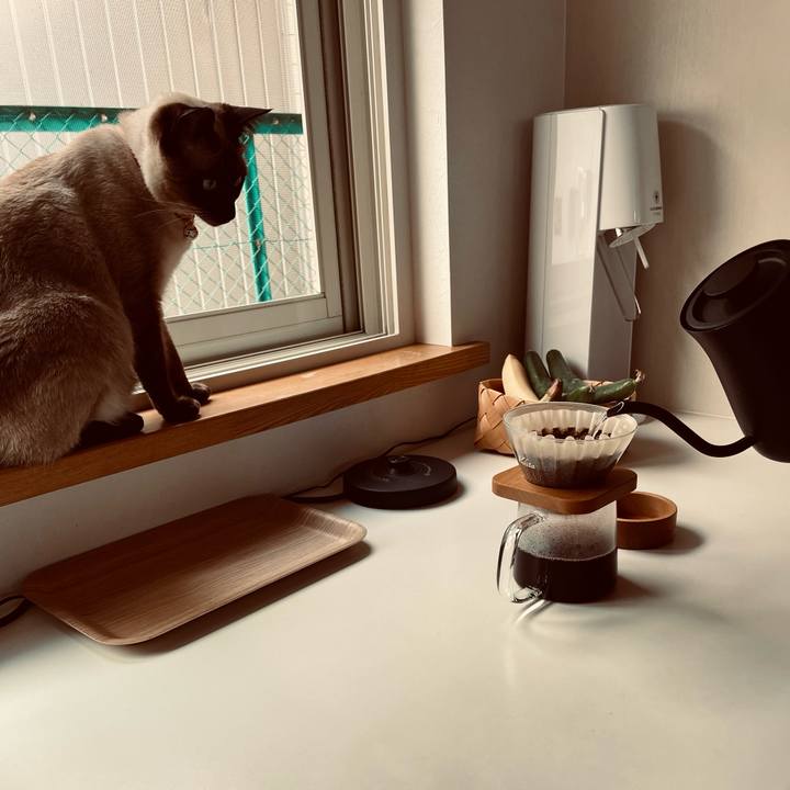 Ba79365d b0d2 4440 a7ec 882790b40c8a 1723939360992