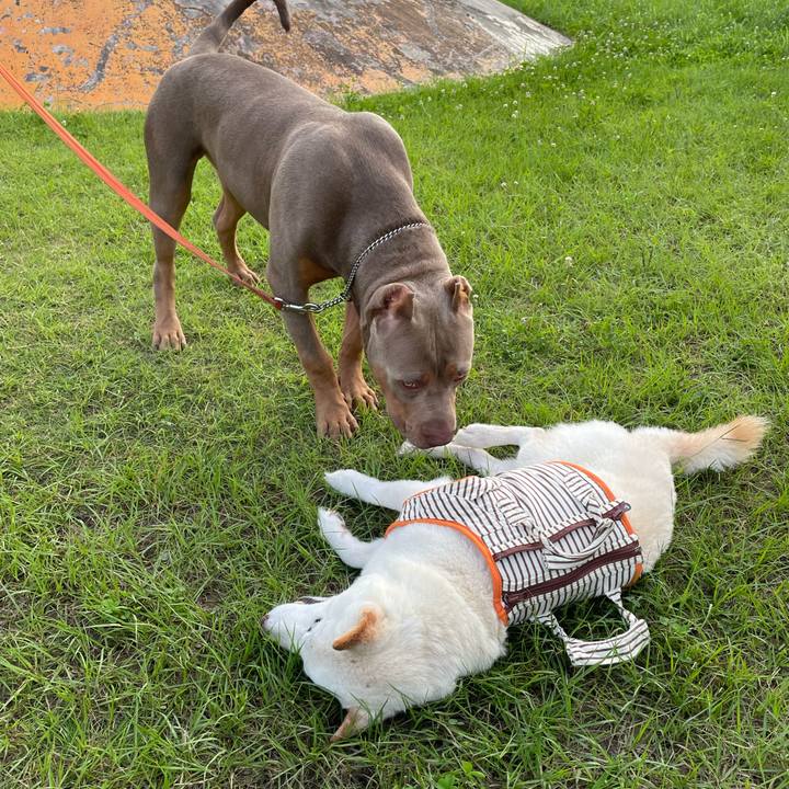 Ba793a55 f307 4652 9c44 87bd5d90faa9 1656251711371