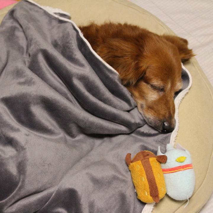 Ba794ffc 5839 4bec a549 6723753e736e 1760720848071