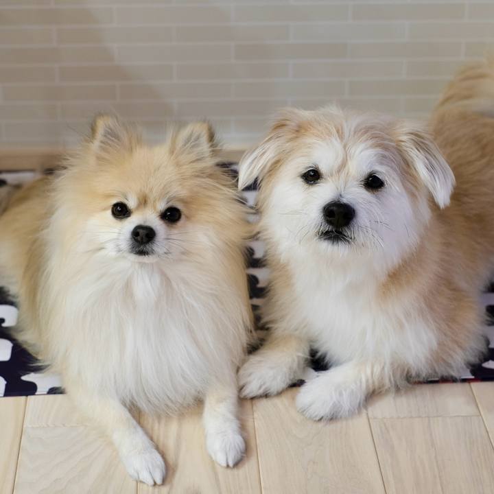 Ba795ce3 5c83 46f9 8f3d 5423c81cf42d 1772058855671