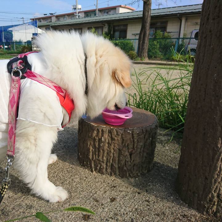 Ba798cbe e229 4bbc a209 2de59fb21478 1534113055579