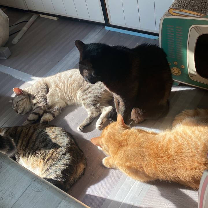 Ba798d5a b4ec 48d5 9cef 6899e9adb033 1640274579910