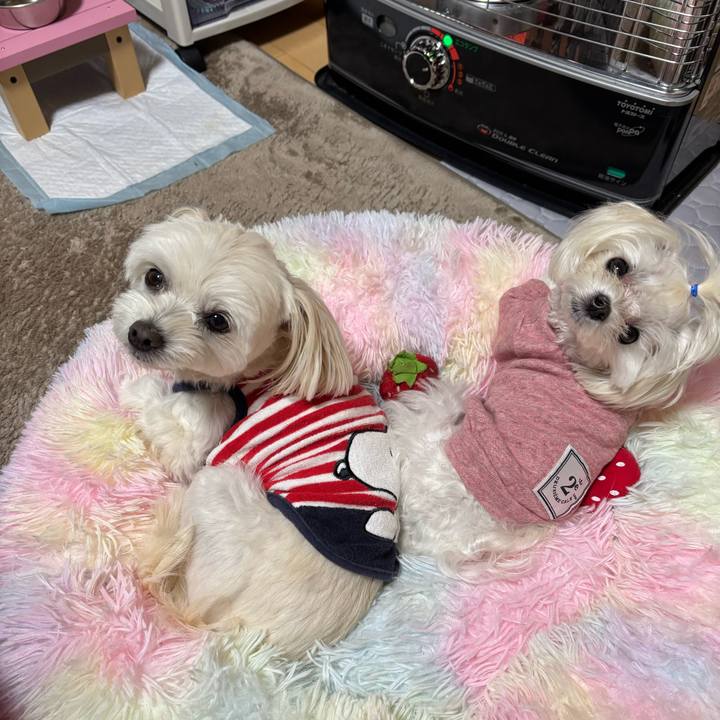 Ba79b2aa 57be 4274 b9d8 865b1b74880d 1732623595883