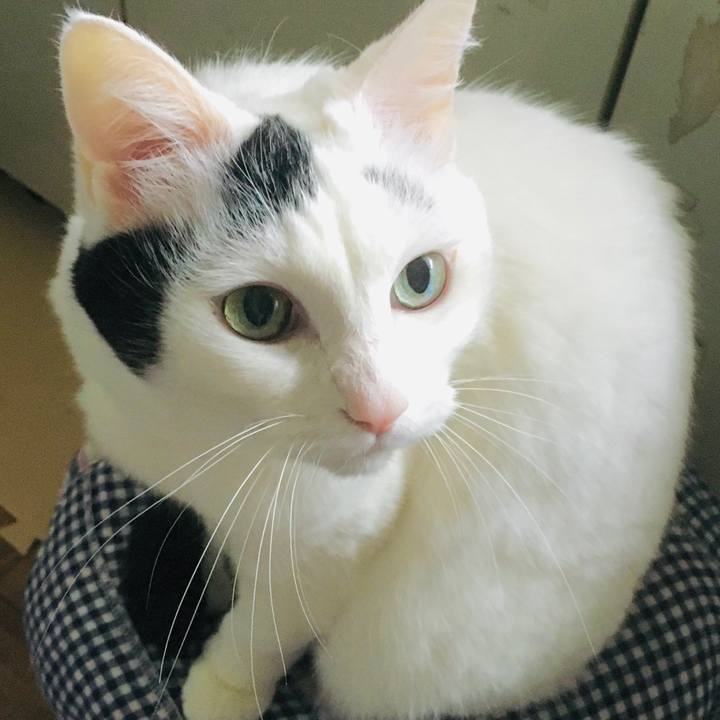 Ba79d183 9f42 4c7f bced f56081933f1b 1580473965969