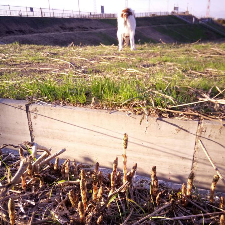 Ba79ea79 b241 4c72 ade0 ff5aa7b640f0 1520398102996