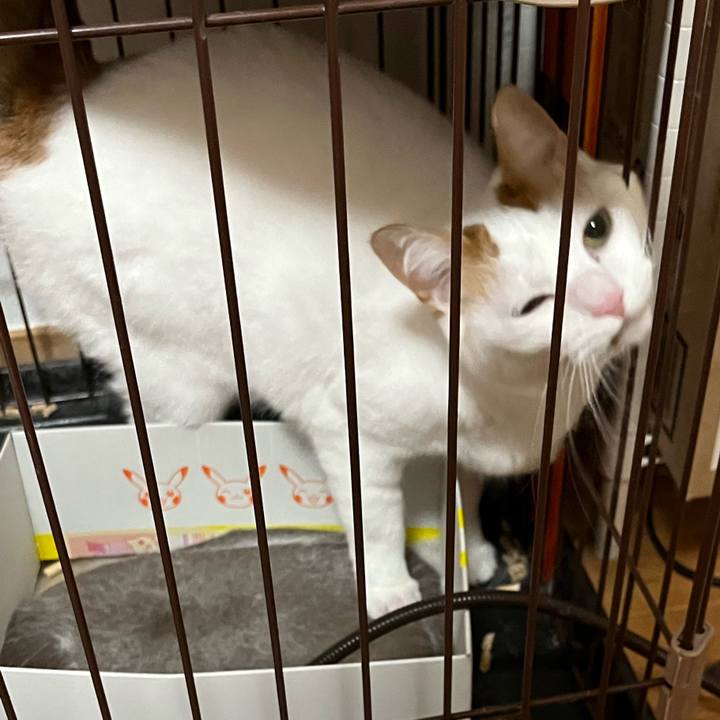 Ba79f3ea dee7 46e9 ac1d fadad945d054 1765463216757