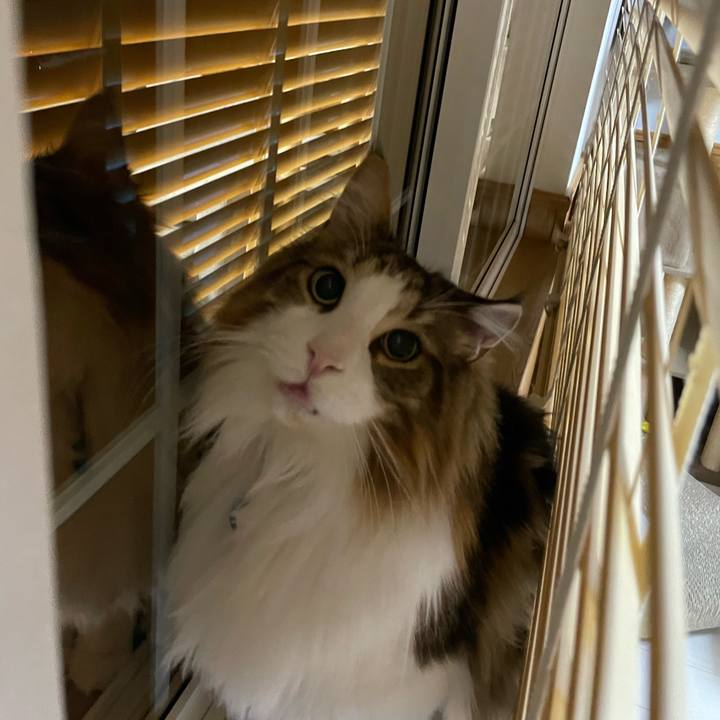 Ba79fd01 a4eb 4004 b43c f835ce1ead57 1705174353807