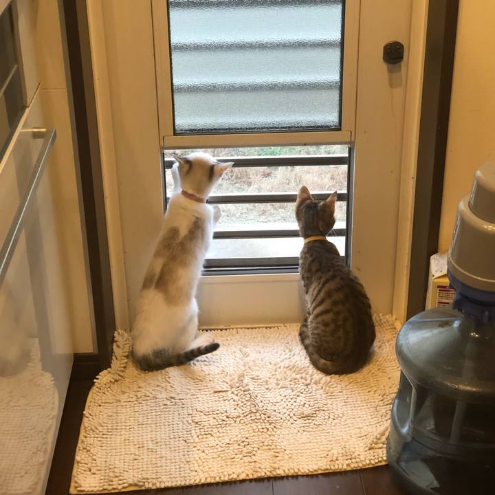 Ba7a27d4 04f1 4039 9a51 d39b192be658 1544449224511