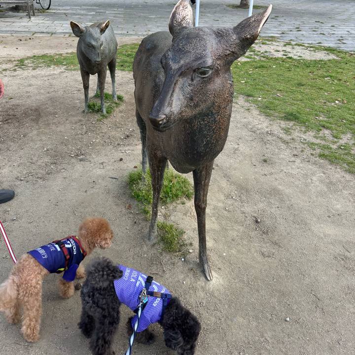 Ba7a2ad4 8308 44ac 8c8b 7eb9531ea2af 1713872815366