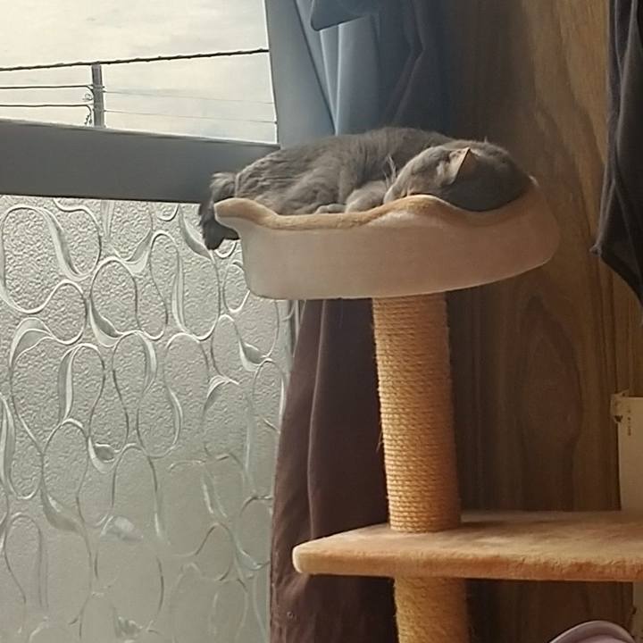 Ba7a2aed 5d5a 4e09 a4f0 a408f9b8d695 1665200059354