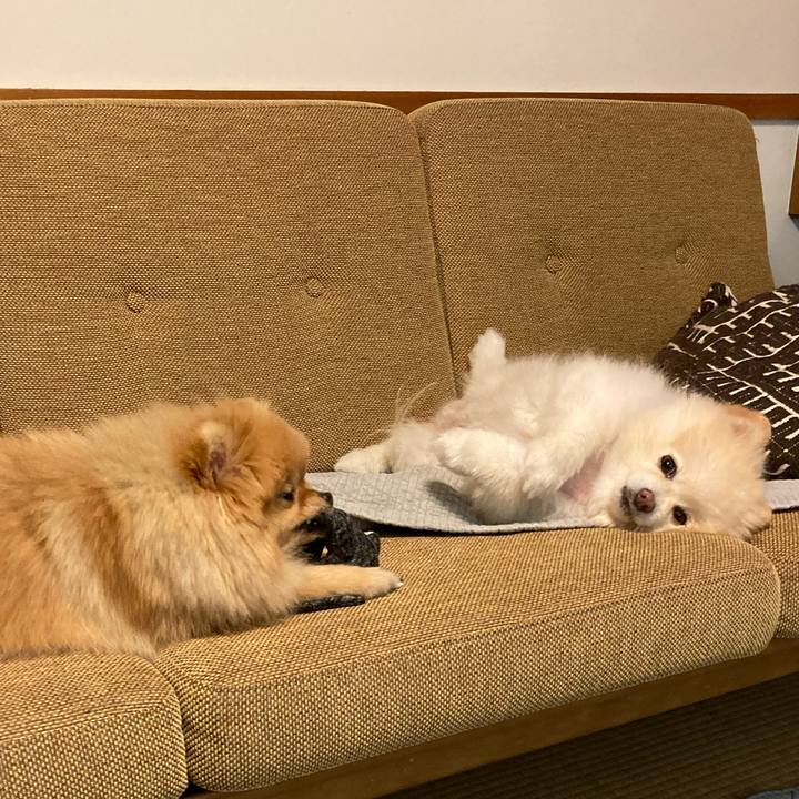 Ba7a411d df10 4a6a a442 8f7bf60a91d7 1704857927228