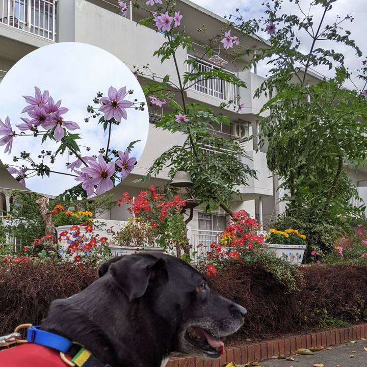 Ba7a487d d377 4f1e b087 800155557993 1668388005514