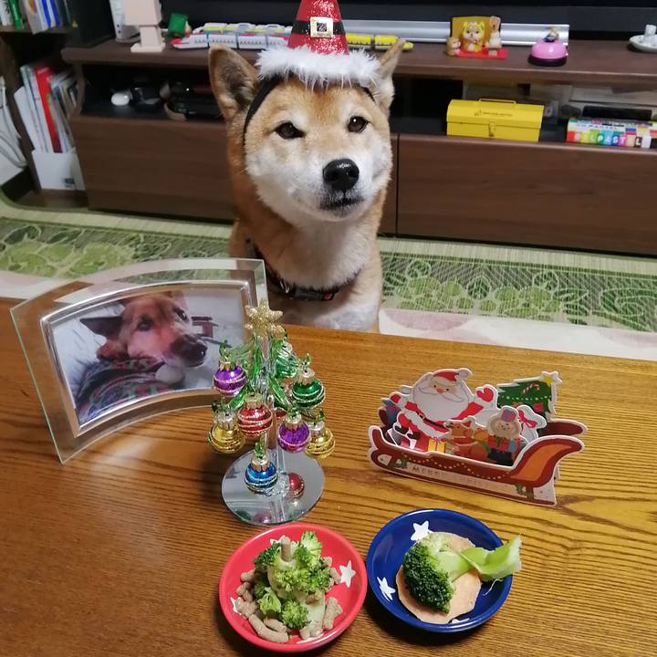 Ba7a5652 5a36 4129 8939 ac87770cfeb4 1640346298978