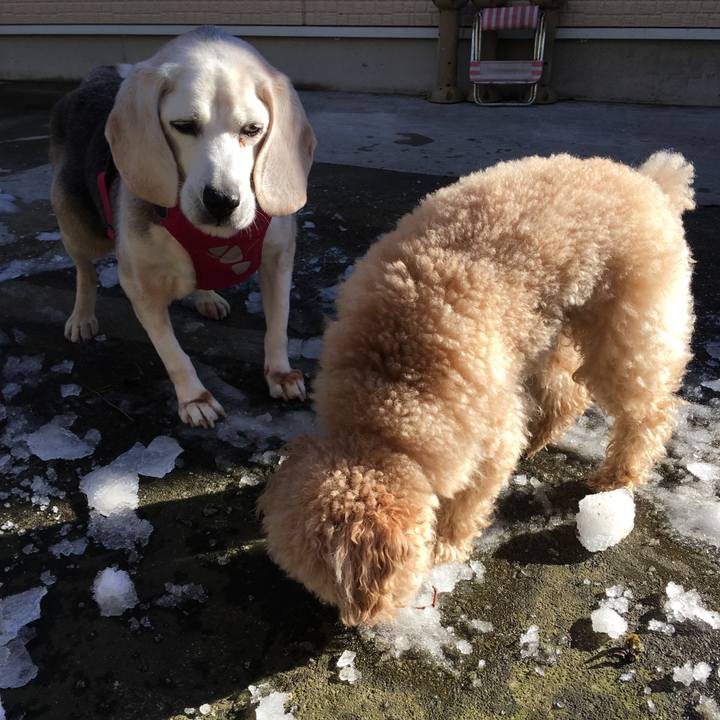 Ba7a8d43 c474 4a13 9551 0ace90b5f3ff 1516783854266