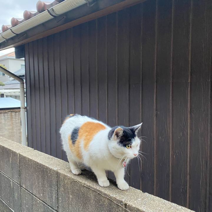 Ba7aa634 b1b2 48dc 864d 1569573f61d1 1642288338113