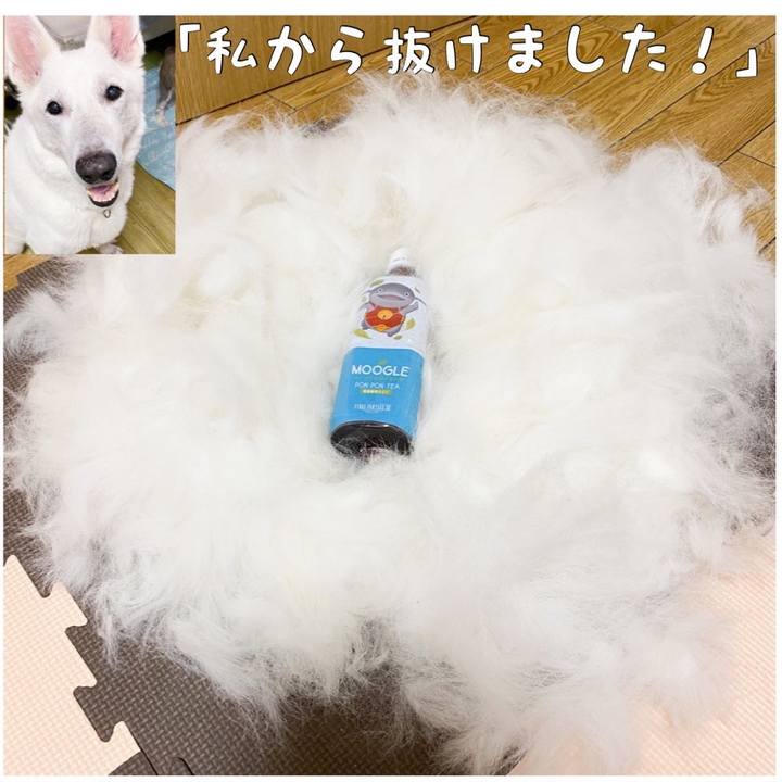 Ba7ac25e 0e04 4ed5 b64b 272751ff7a2c 1631106789800