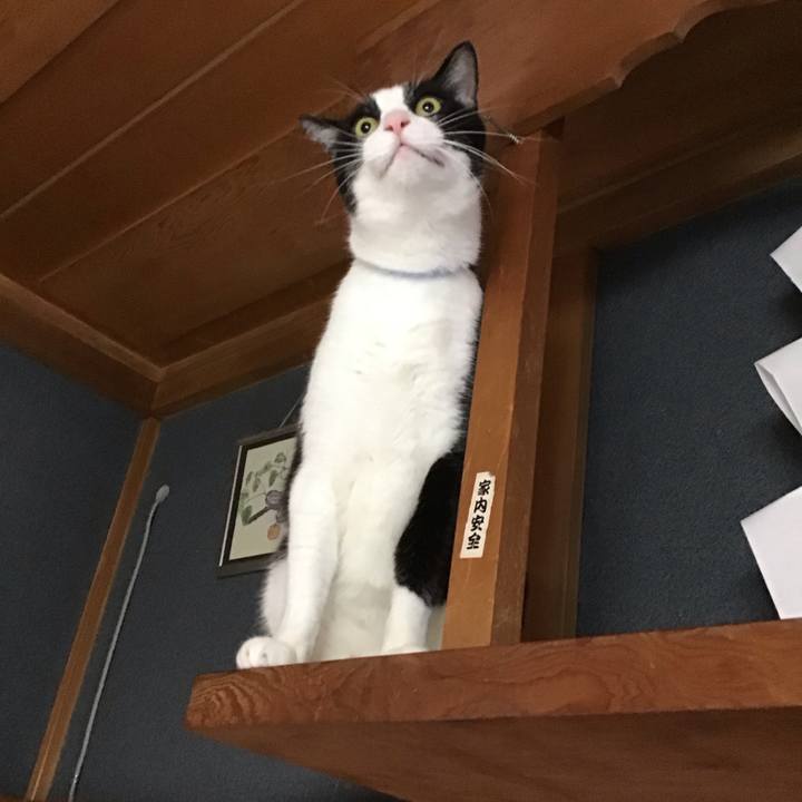 Ba7ae852 e5bb 43e0 992e b6755e93f40c 1728631682673