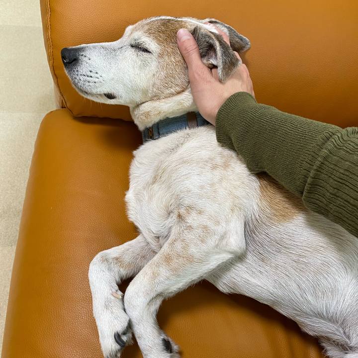 Ba7b0489 c023 47d4 8c73 b51f9a1e251c 1638584081251